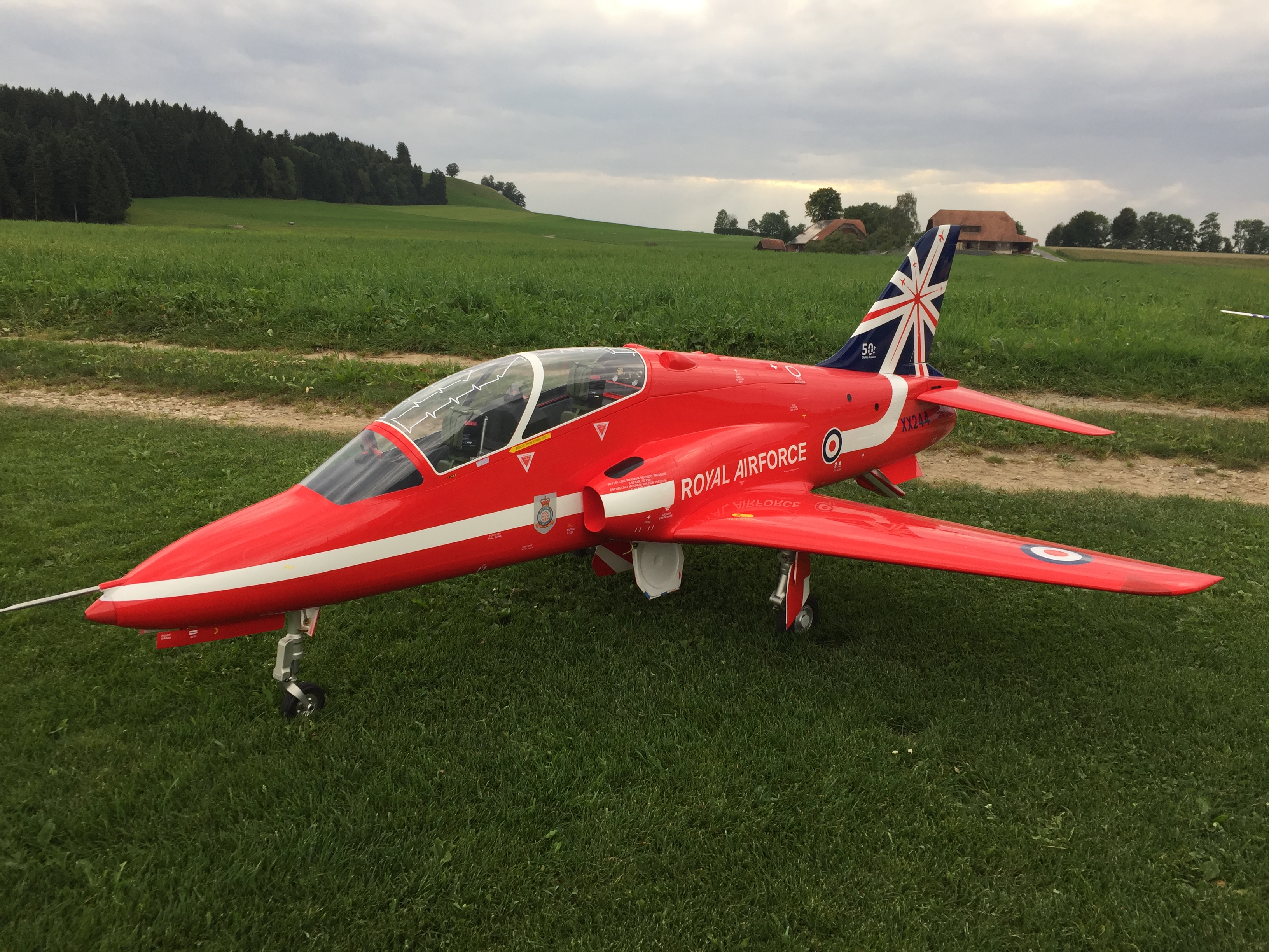 Wiprächtiger Marcel